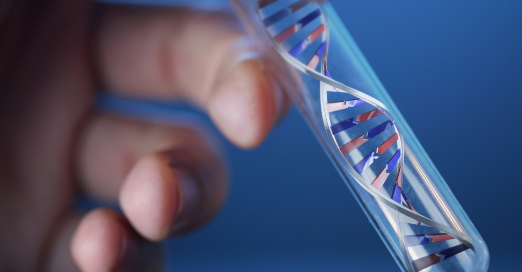 What is Genetic Test?